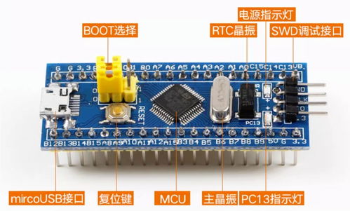 零基礎(chǔ)快速上手STM32開發(fā) 探索集成電路芯片設(shè)計與服務